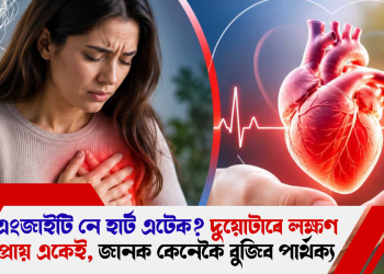 এংজাইটি নে হাৰ্ট এটেক? দুয়োটাৰে লক্ষণ প্ৰায় একেই, জানক কেনেকৈ বুজিব পাৰ্থক্য