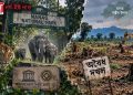 ধ্বংসৰ গৰাহত মানাহ ৰাষ্ট্ৰীয় উদ্যান! এনটিচিএৰ নিৰ্দেশৰ পাছতো নিমাত চৰকাৰ