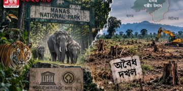 ধ্বংসৰ গৰাহত মানাহ ৰাষ্ট্ৰীয় উদ্যান! এনটিচিএৰ নিৰ্দেশৰ পাছতো নিমাত চৰকাৰ