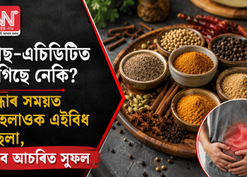 গেছ-এচিডিটিত ভুগিছে নেকি? ৰন্ধাৰ সময়ত মিহলাওক এইবিধ মছলা, পাব আচৰিত সুফল