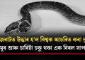 গুজৰাটত উদ্ধাৰ হ’ল বিশ্বক আচৰিত কৰা দুটা মূৰ আৰু চাৰিটা চকু থকা এক বিৰল সাপ