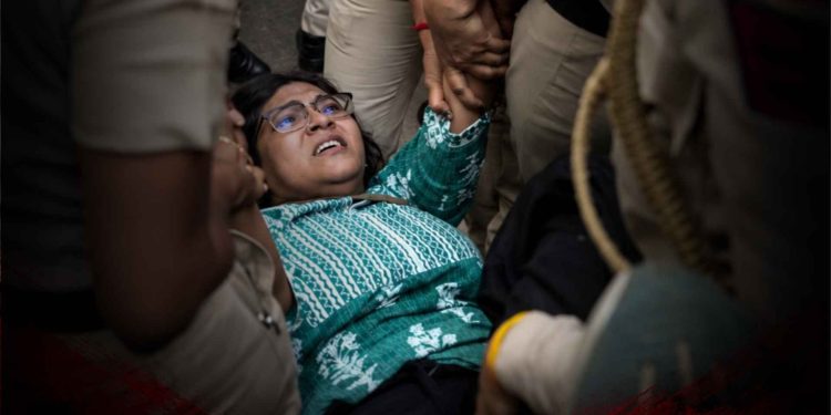 ফটো - সংগৃহীত